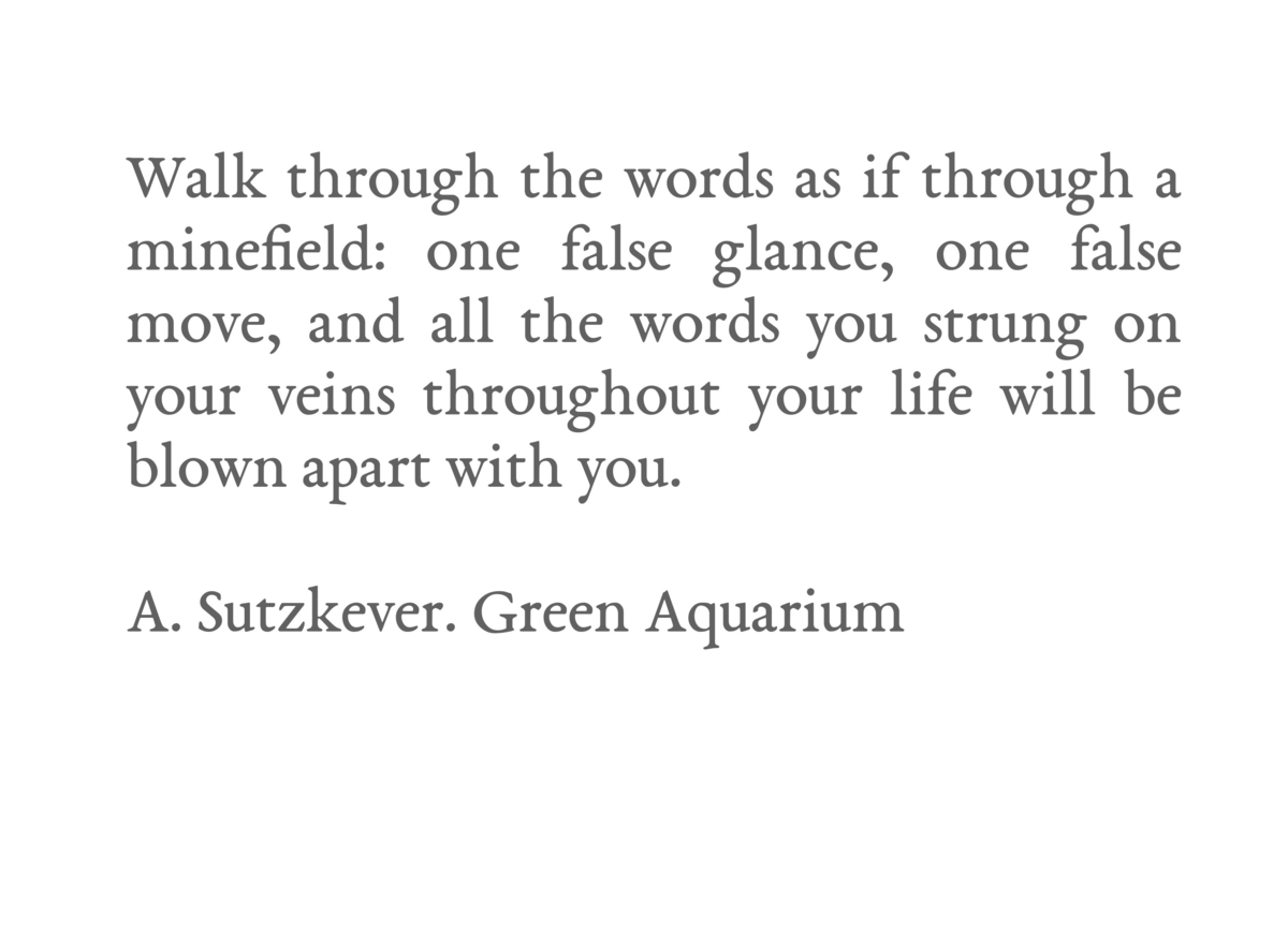 A quote from A. Sutzkever's book
